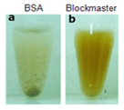 Comparison Blockmaster And Bsa By JSR Life Sciences