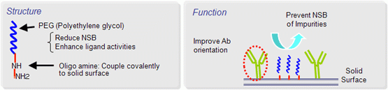 Structure And Function Of Blockmaster By JSR Life Sciences